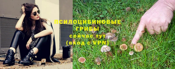 спиды Алзамай