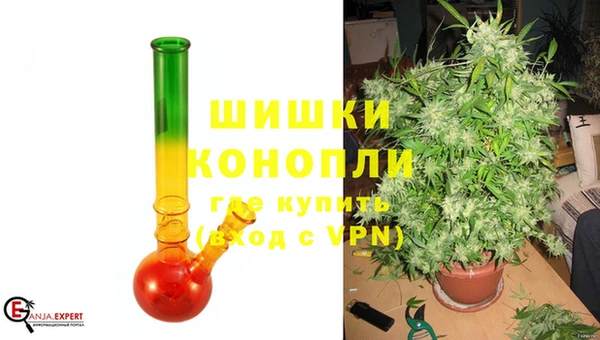 шишки Алексеевка