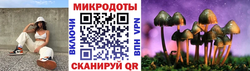 Галлюциногенные грибы ЛСД  Болгар 